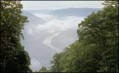 New River Gorge Preserve