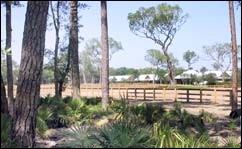 Sea Island Equestrian Center